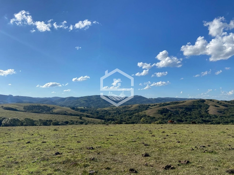 526ha na região sul do RS.: 15ª foto da galeria de imagens do imóvel