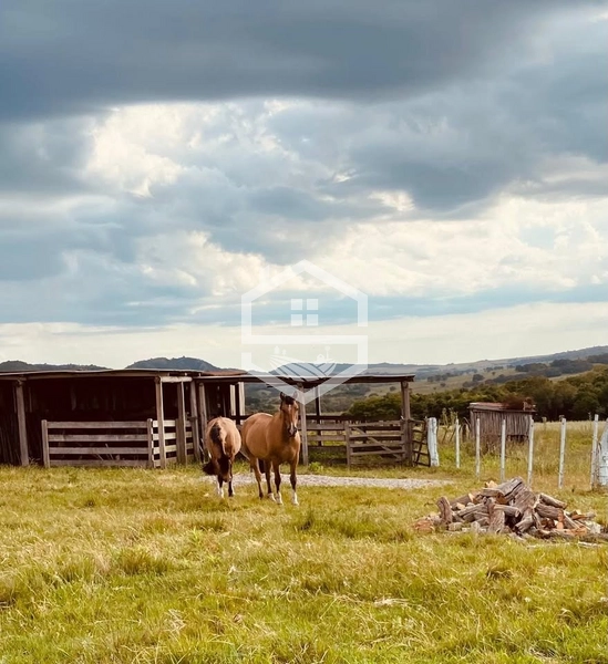 526ha na região sul do RS.: 10ª foto da galeria de imagens do imóvel