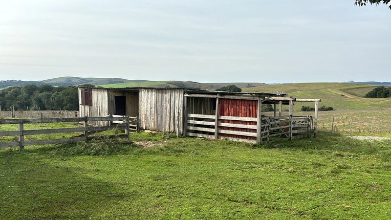 526ha na região sul do RS.: 7ª foto da galeria de imagens do imóvel