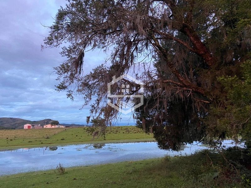 526ha na região sul do RS.: 18ª foto da galeria de imagens do imóvel