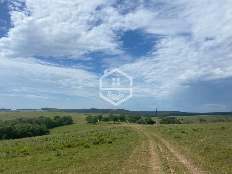 526ha na região sul do RS.: 11ª foto da galeria de imagens do imóvel