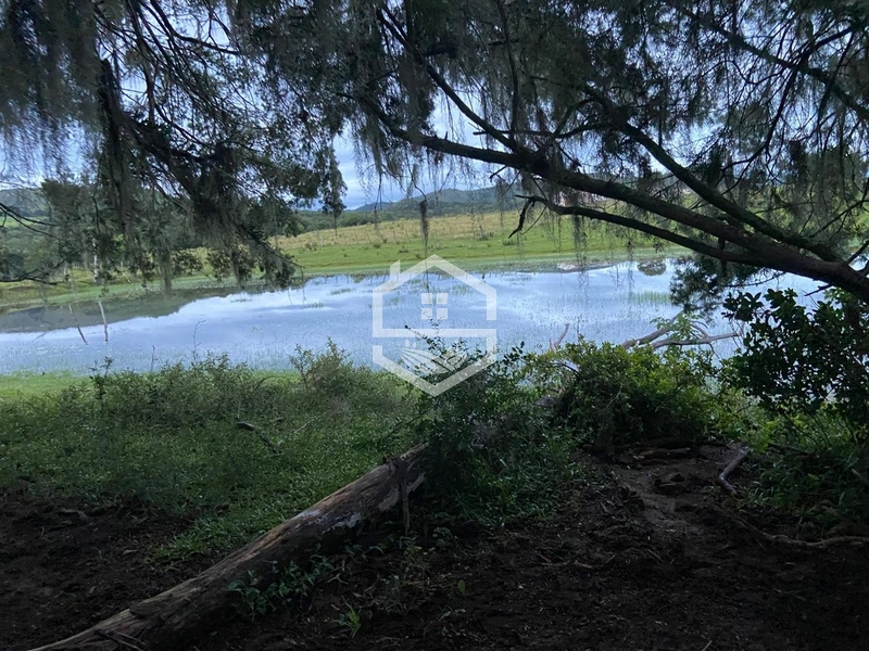 526ha na região sul do RS.: 19ª foto da galeria de imagens do imóvel