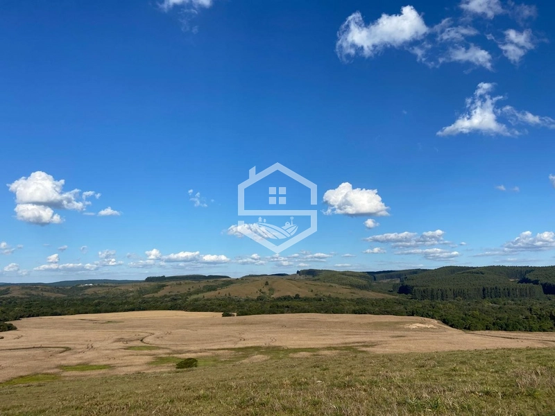 526ha na região sul do RS.: 17ª foto da galeria de imagens do imóvel