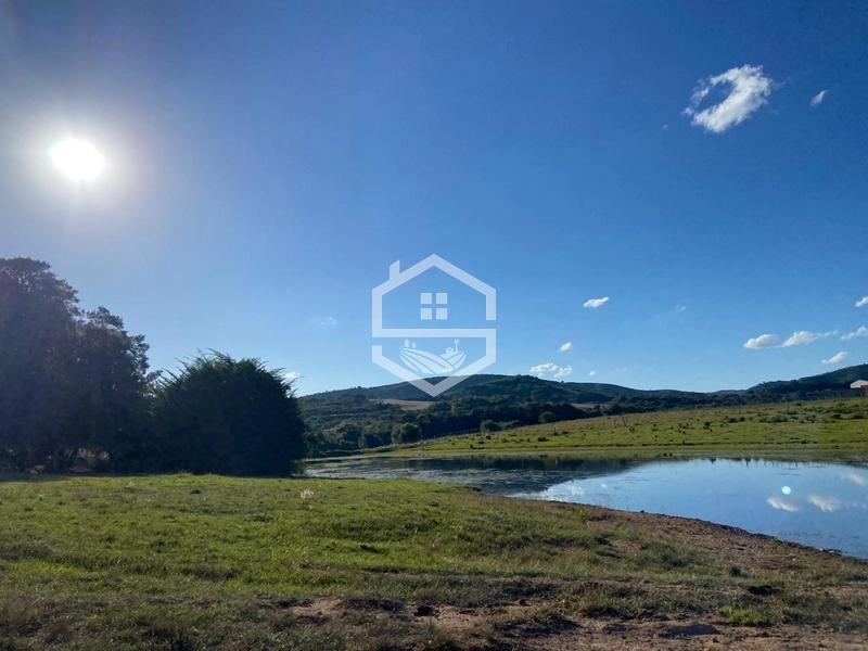 526ha na região sul do RS.: 20ª foto da galeria de imagens do imóvel