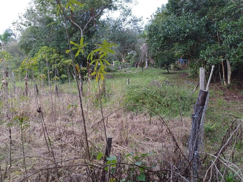 Área Rural para venda em Camaquã: 8ª foto da galeria de imagens do imóvel