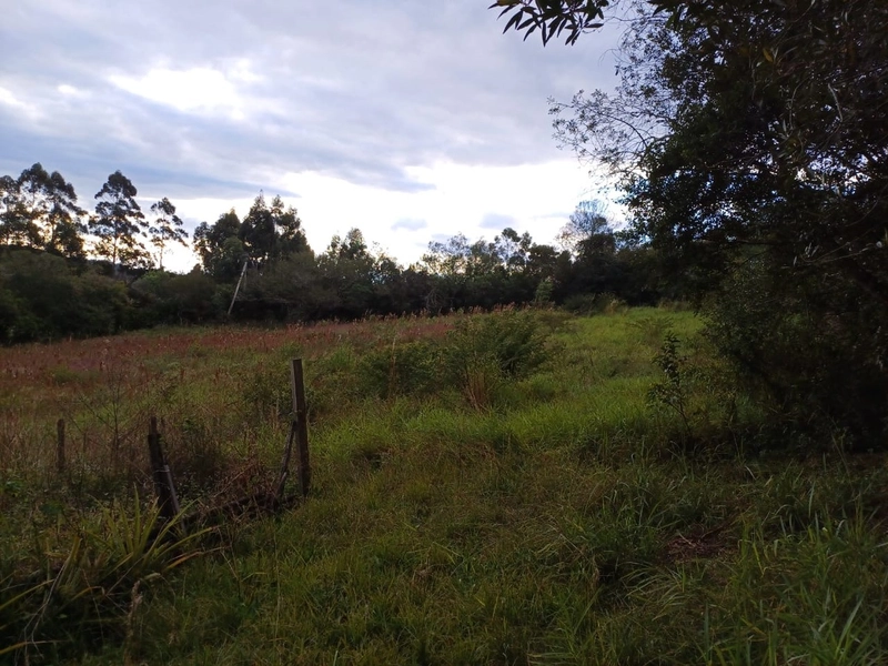 Área Rural para venda em Camaquã: 6ª foto da galeria de imagens do imóvel
