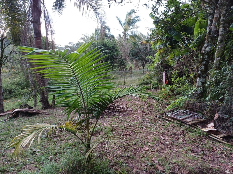 Área Rural para venda em Camaquã: 9ª foto da galeria de imagens do imóvel