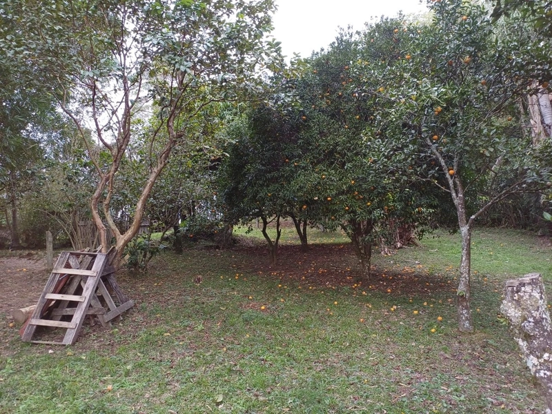 Área Rural para venda em Camaquã: 11ª foto da galeria de imagens do imóvel