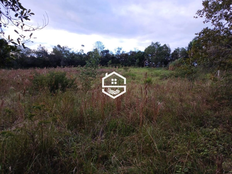 Área Rural para venda em Camaquã: 7ª foto da galeria de imagens do imóvel