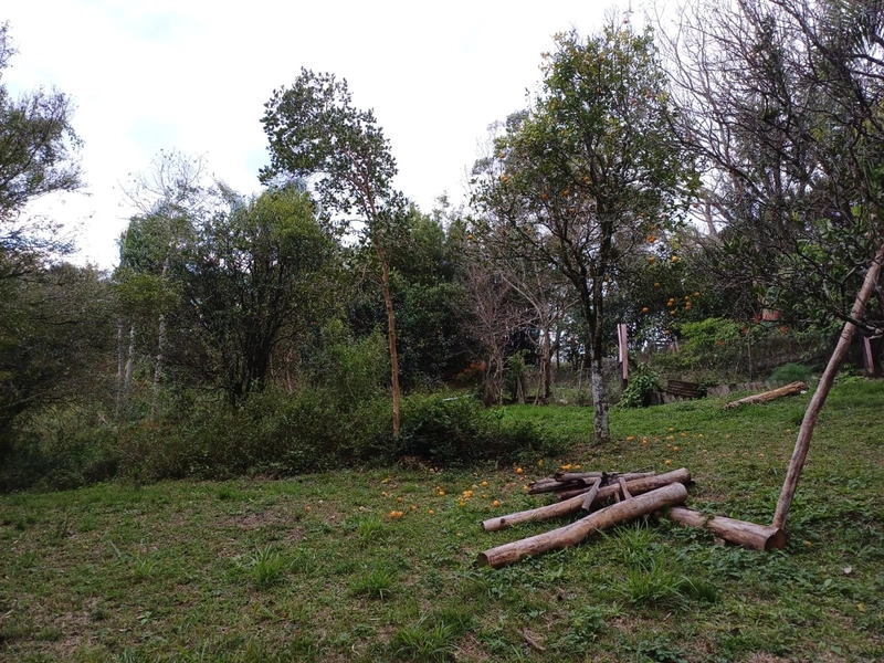 Área Rural para venda em Camaquã: 10ª foto da galeria de imagens do imóvel