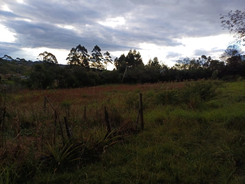 Área Rural para venda em Camaquã: 5ª foto da galeria de imagens do imóvel