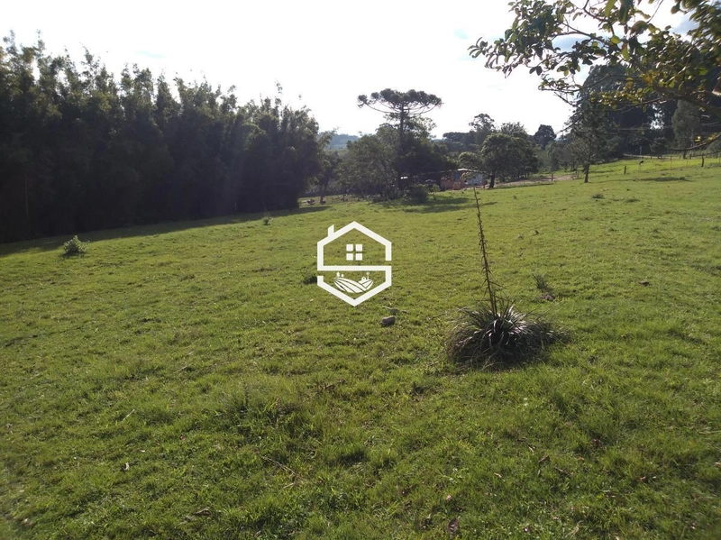 Área Rural para venda em Camaquã: 2ª foto da galeria de imagens do imóvel