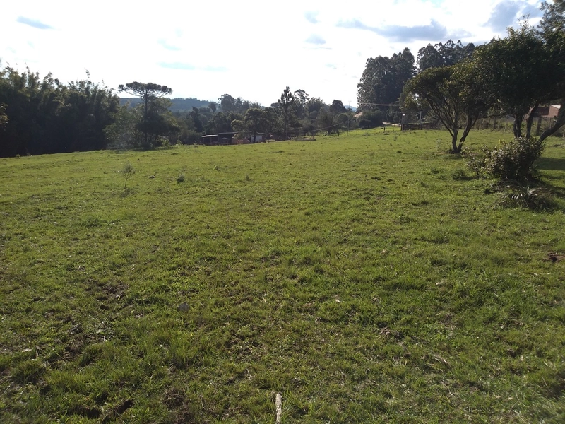 Área Rural para venda em Camaquã: 4ª foto da galeria de imagens do imóvel
