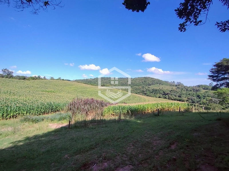 27ha interior de Camaquã: 6ª foto da galeria de imagens do imóvel