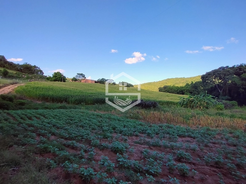 27ha interior de Camaquã: 9ª foto da galeria de imagens do imóvel