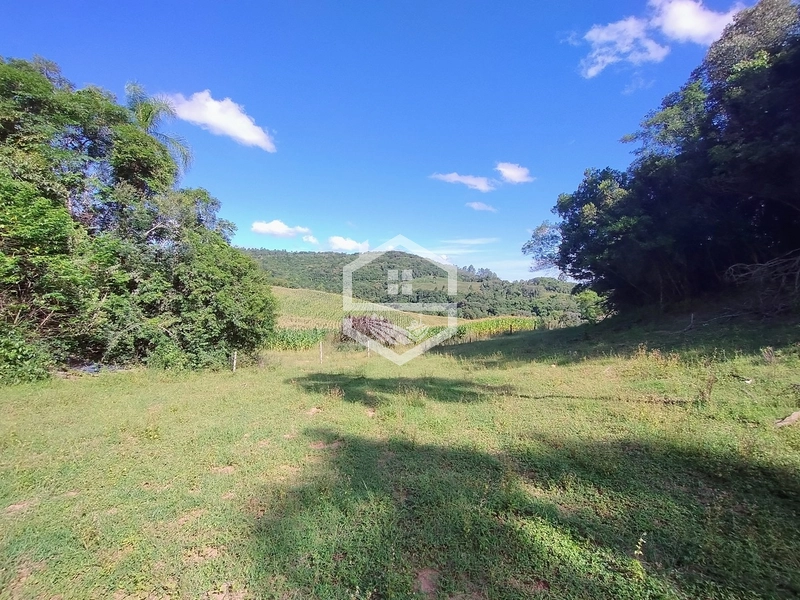 27ha interior de Camaquã: 12ª foto da galeria de imagens do imóvel