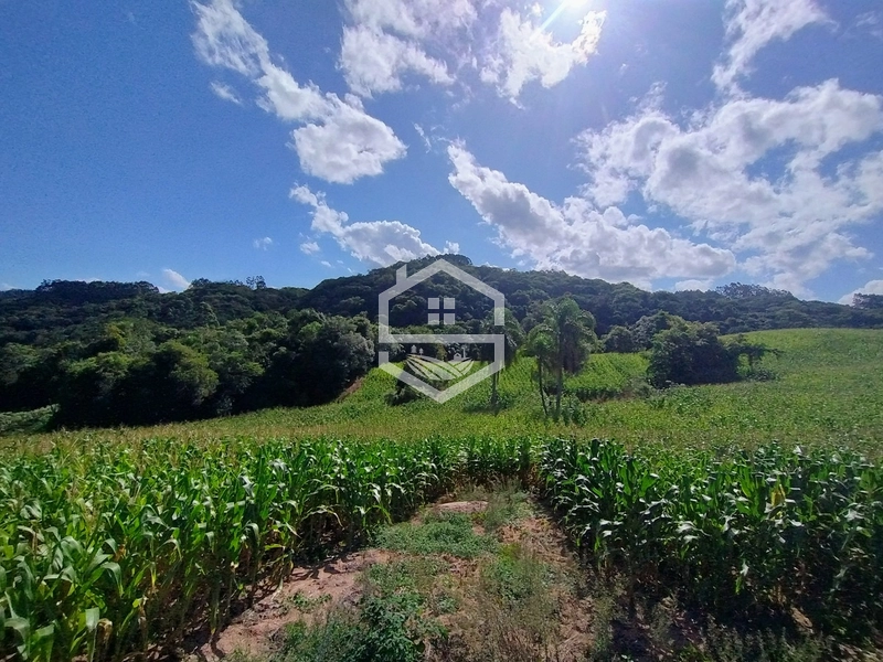 27ha interior de Camaquã: 11ª foto da galeria de imagens do imóvel