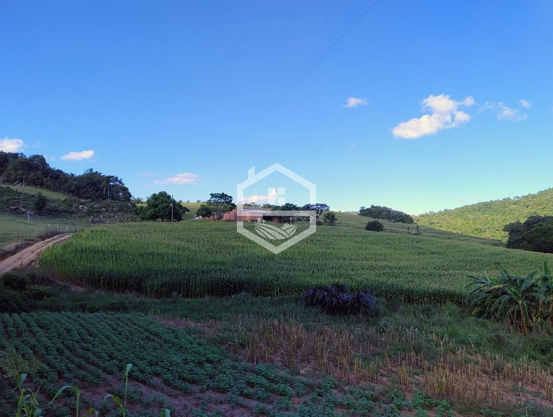 27ha interior de Camaquã: 5ª foto da galeria de imagens do imóvel