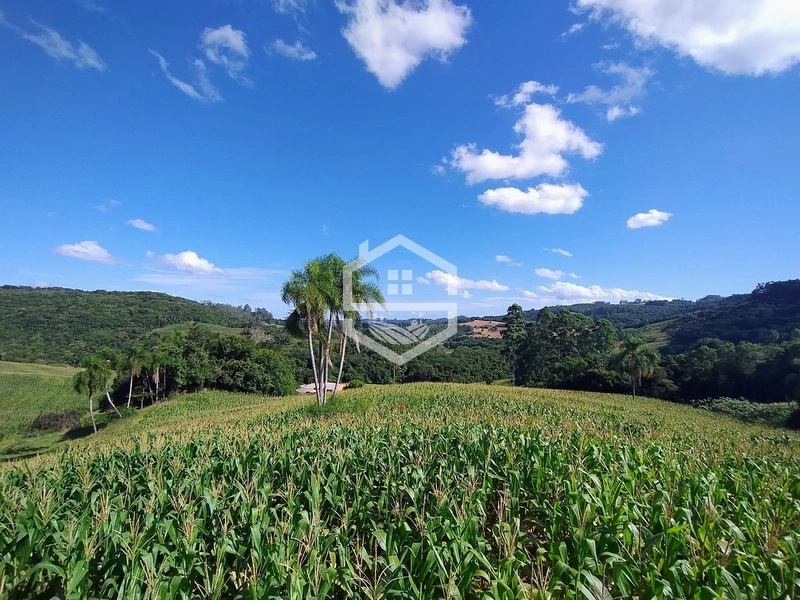 27ha interior de Camaquã: 8ª foto da galeria de imagens do imóvel