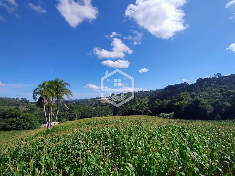 27ha interior de Camaquã: 7ª foto da galeria de imagens do imóvel