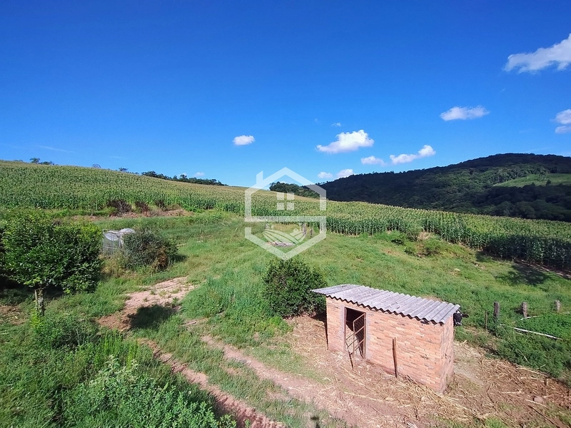 27ha interior de Camaquã: 3ª foto da galeria de imagens do imóvel