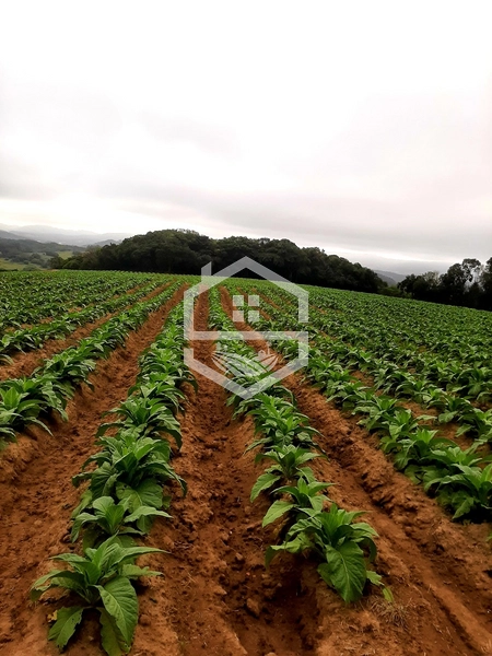 Chácara 10min do centro de Mariana Pimentel.: 6ª foto da galeria de imagens do imóvel