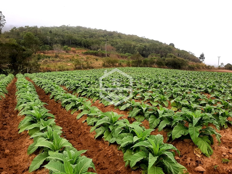 Chácara 10min do centro de Mariana Pimentel.: 5ª foto da galeria de imagens do imóvel