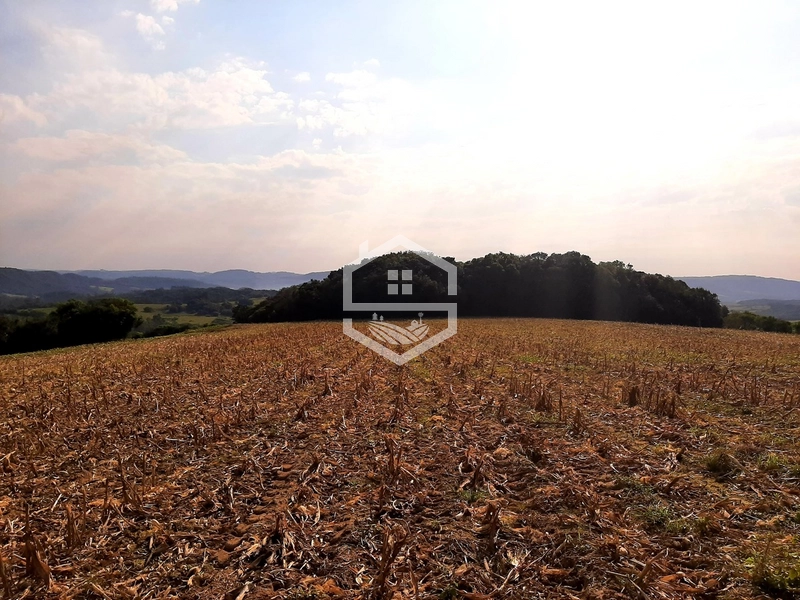 Chácara 10min do centro de Mariana Pimentel.: 4ª foto da galeria de imagens do imóvel