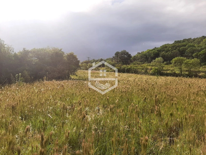 Chácara 10min do centro de Mariana Pimentel.: 8ª foto da galeria de imagens do imóvel