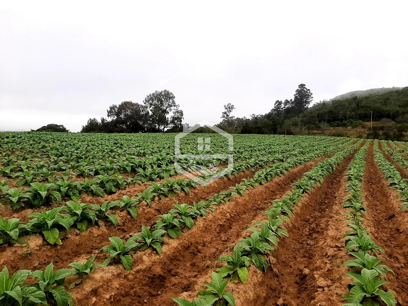 Chácara 10min do centro de Mariana Pimentel.: 7ª foto da galeria de imagens do imóvel