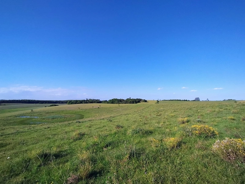 Campo a 03minutos do asfalto!: 11ª foto da galeria de imagens do imóvel