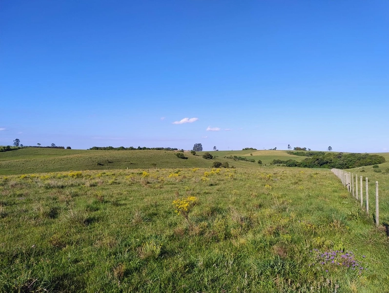 Campo a 03minutos do asfalto!: 2ª foto da galeria de imagens do imóvel