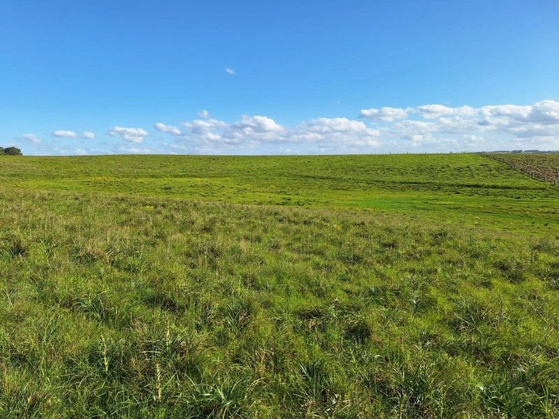 Campo a 03minutos do asfalto!: 5ª foto da galeria de imagens do imóvel