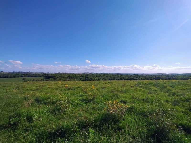 Campo a 03minutos do asfalto!: 7ª foto da galeria de imagens do imóvel