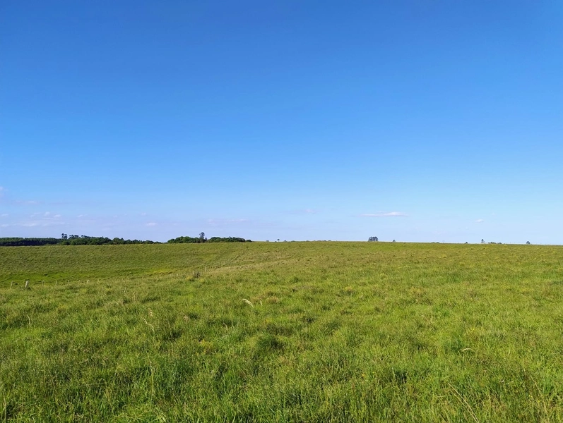 Campo a 03minutos do asfalto!: 8ª foto da galeria de imagens do imóvel
