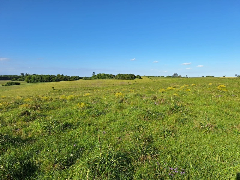 Campo a 03minutos do asfalto!: 6ª foto da galeria de imagens do imóvel