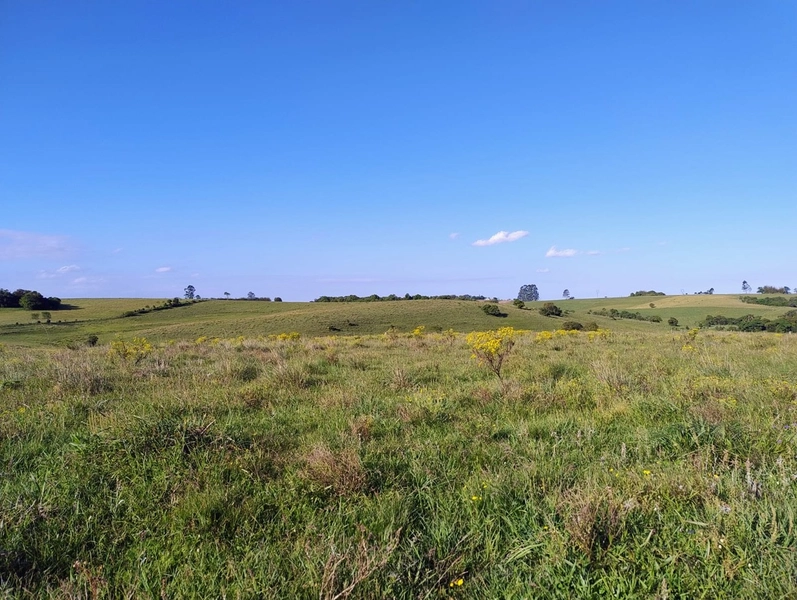 Campo a 03minutos do asfalto!: 12ª foto da galeria de imagens do imóvel