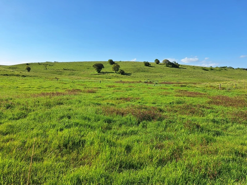 Campo a 03minutos do asfalto!: 4ª foto da galeria de imagens do imóvel