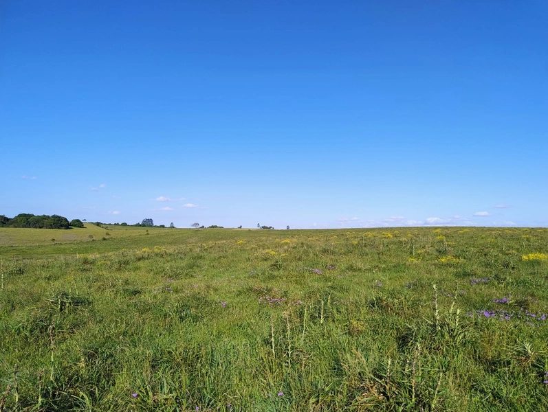 Campo a 03minutos do asfalto!: 10ª foto da galeria de imagens do imóvel