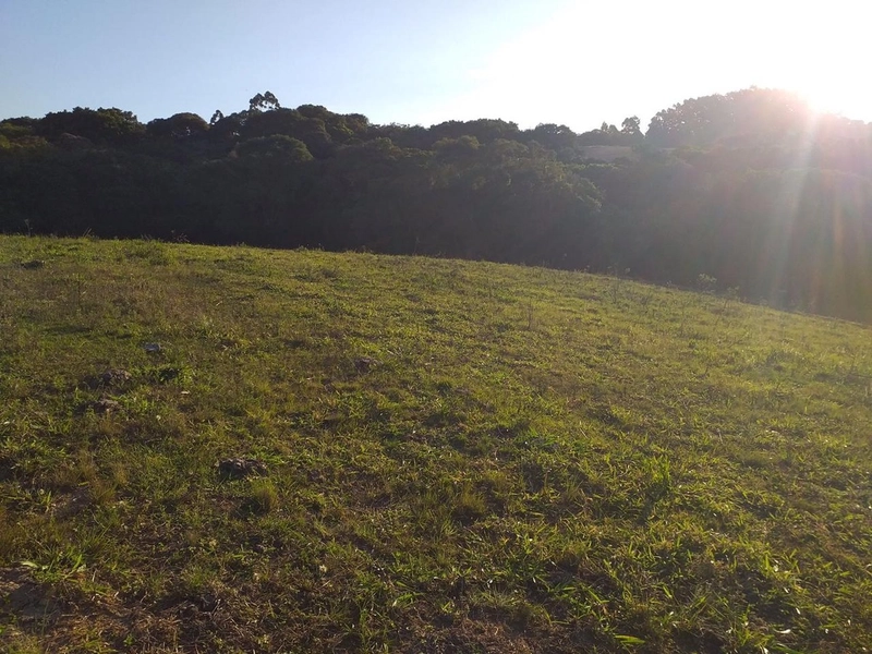 Sitio 12km do centro de Camaquã.: 8ª foto da galeria de imagens do imóvel