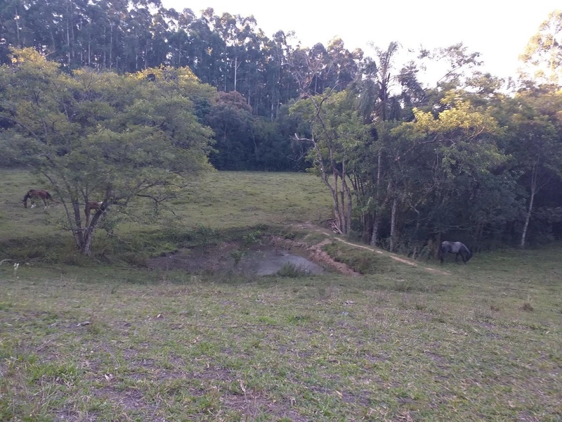 Sitio 12km do centro de Camaquã.: 6ª foto da galeria de imagens do imóvel