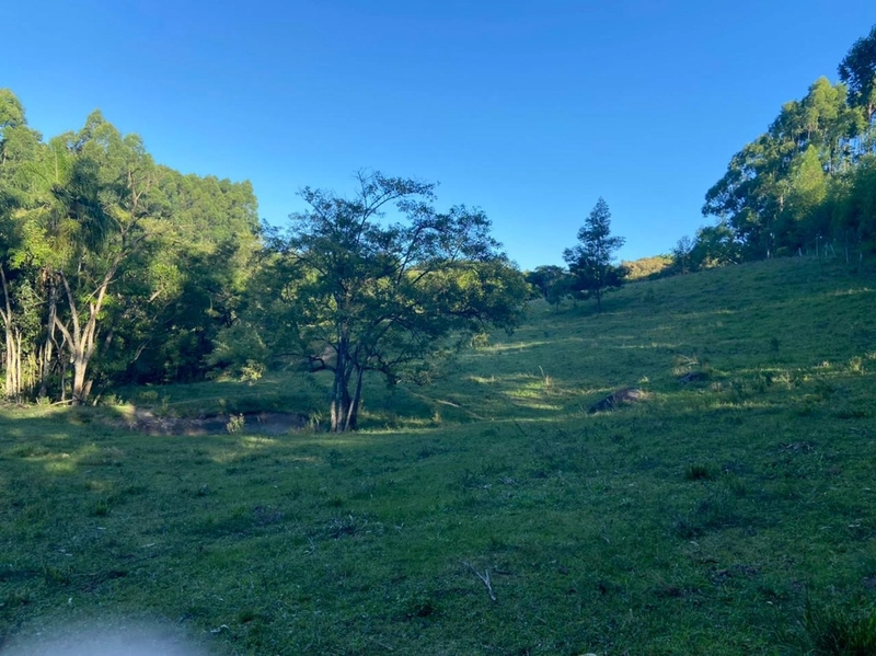 Sitio 12km do centro de Camaquã.: 2ª foto da galeria de imagens do imóvel