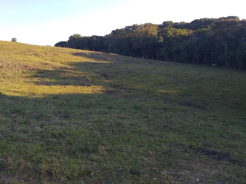 Sitio 12km do centro de Camaquã.: 7ª foto da galeria de imagens do imóvel