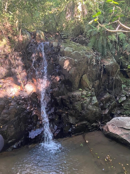 Sitio 12km do centro de Camaquã.: 5ª foto da galeria de imagens do imóvel