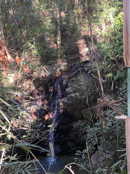 Sitio 12km do centro de Camaquã.: 4ª foto da galeria de imagens do imóvel