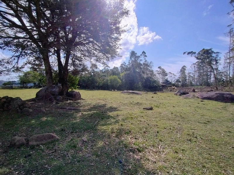 Chácara 11ha.: 17ª foto da galeria de imagens do imóvel