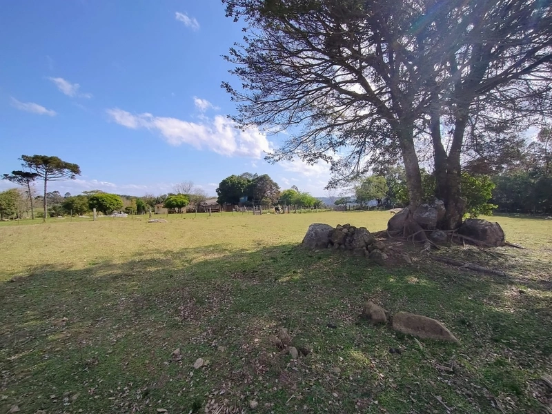 Chácara 11ha.: 18ª foto da galeria de imagens do imóvel