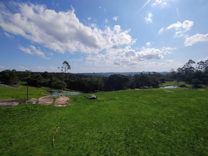 Chácara 11ha.: 15ª foto da galeria de imagens do imóvel