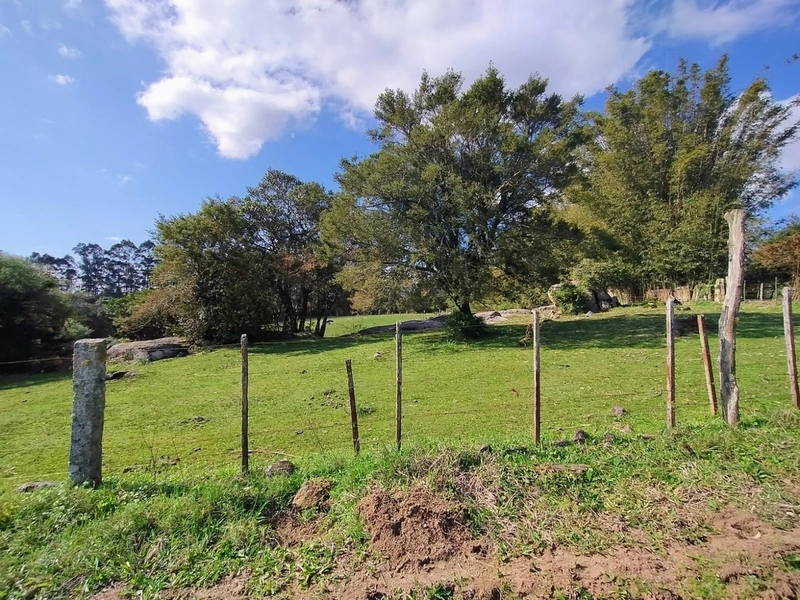 Chácara 11ha.: 1ª foto da galeria de imagens do imóvel