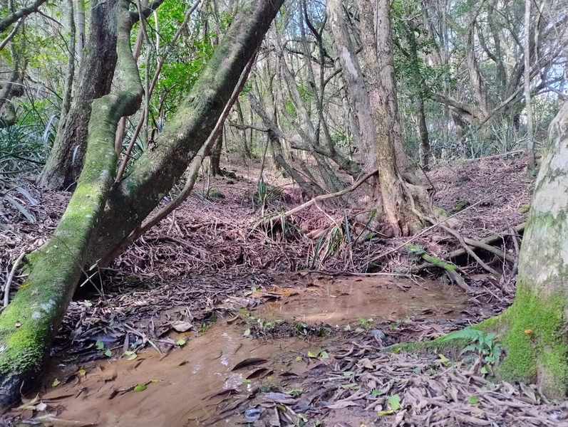 Chácara 11ha.: 7ª foto da galeria de imagens do imóvel